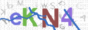 CAPTCHA Slika