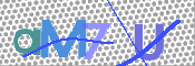 CAPTCHA Slika