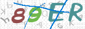CAPTCHA Slika